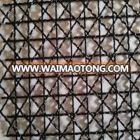 Stainless Steel Crimped Wire Mesh(high quality and low price)